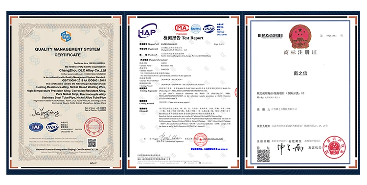 Changzhou Dlx Nicr Thermocouple (type E) with PFA Connection Cable Th 22 Ltv German Technology