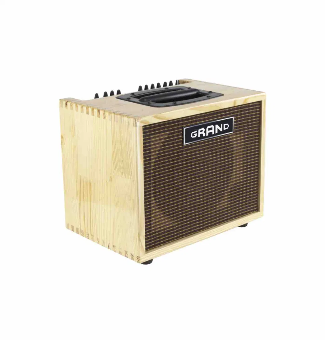 Chinese Made Grand Compact60 Type Acoustic Guitar Amplifier 60W