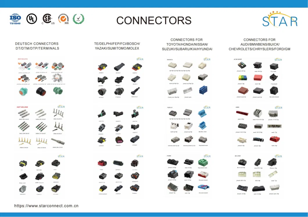 China Factory2 Pin Superseal Tyco /AMP Automotive Male and Female Connector and Terminal