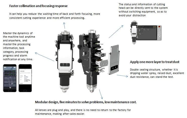 How Much Does a CNC Laser Cost? with Max Raycus Ipg Laser Power