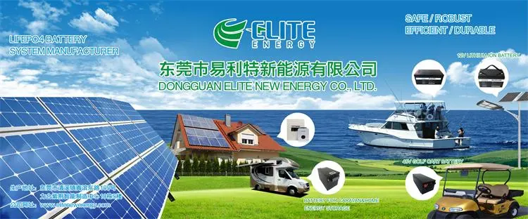 Factory Custom High Power 48V 100ah Rechargeable RV Agv AMR Forklift Golf Cart Lithium Ion LiFePO4 Battery 200ah 400ah