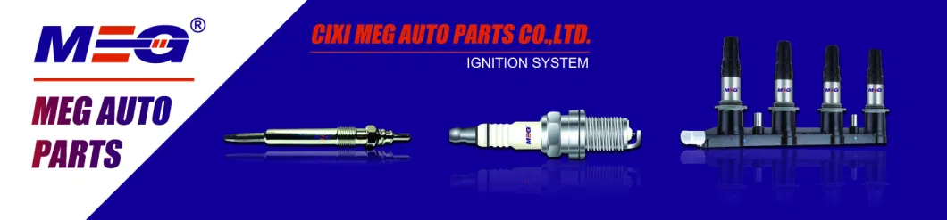 Wholesale Hot Sale Auto Engine Systems Auto Ignition Parts Glow Plug 0252202022 for Car