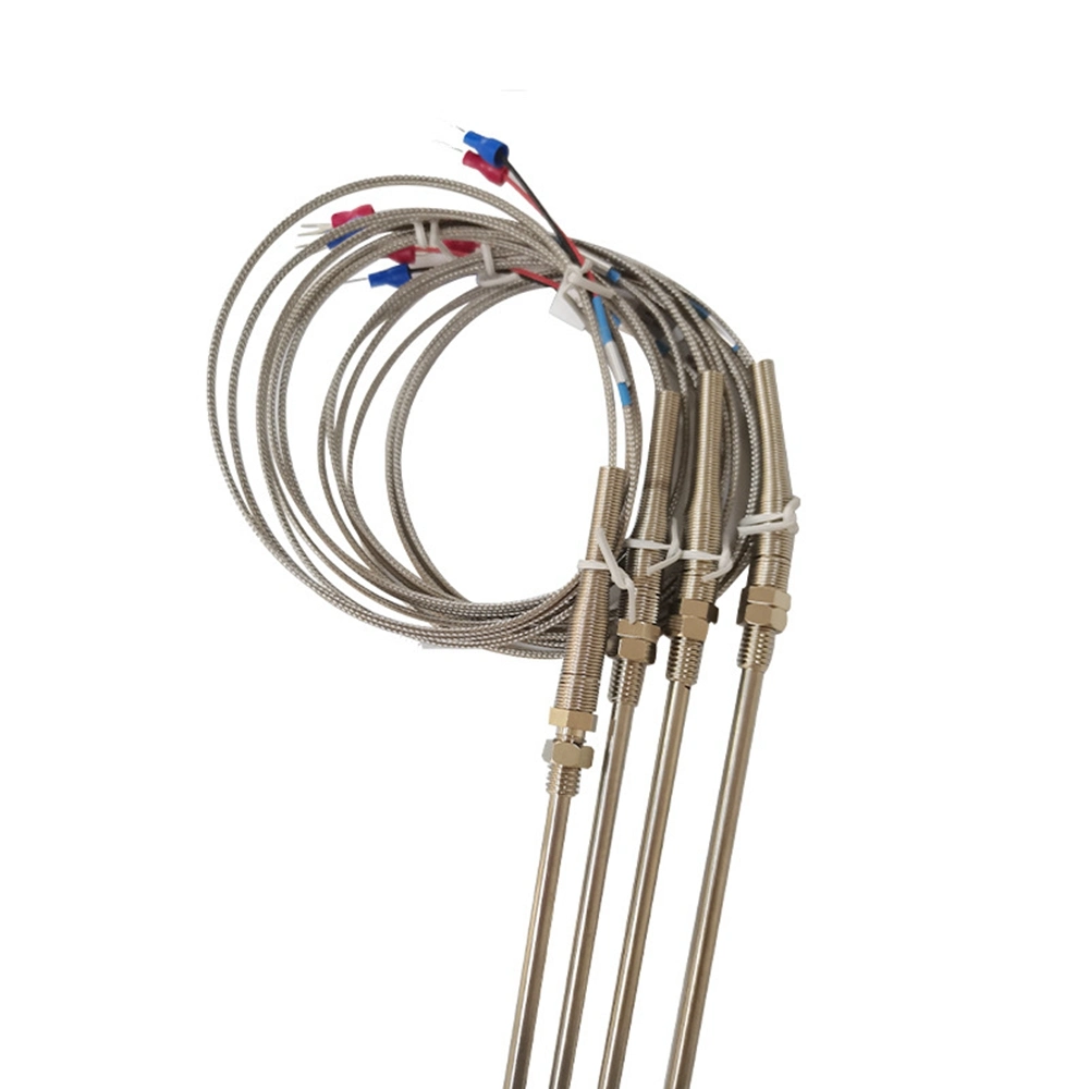Changzhou Dlx Nicr Thermocouple (type E) with PFA Connection Cable Th 22 Ltv German Technology