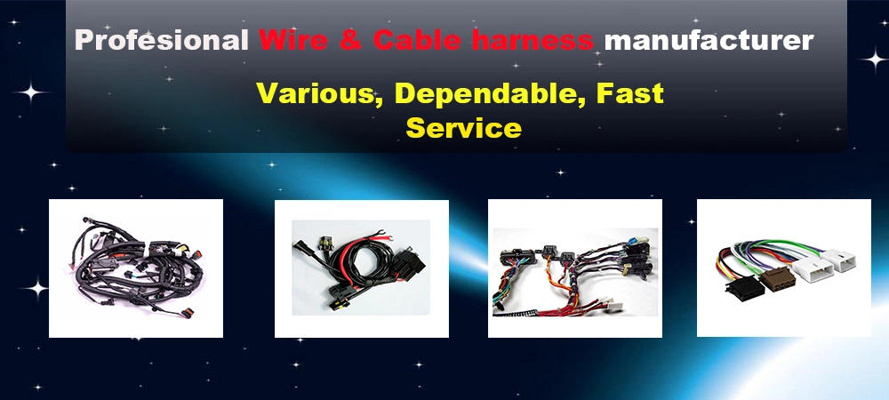 Auto Car Electrical ISO Male and Female Connector Automotive Wire Harness