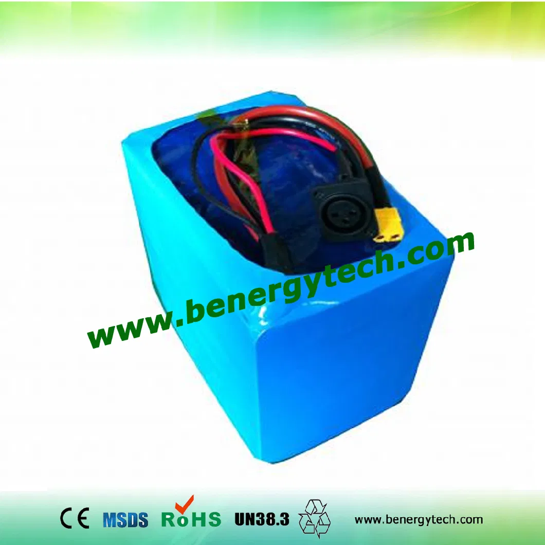 Storage Battery 48V 20ah for Electric Scooter, Tricycle, and Other Evs.