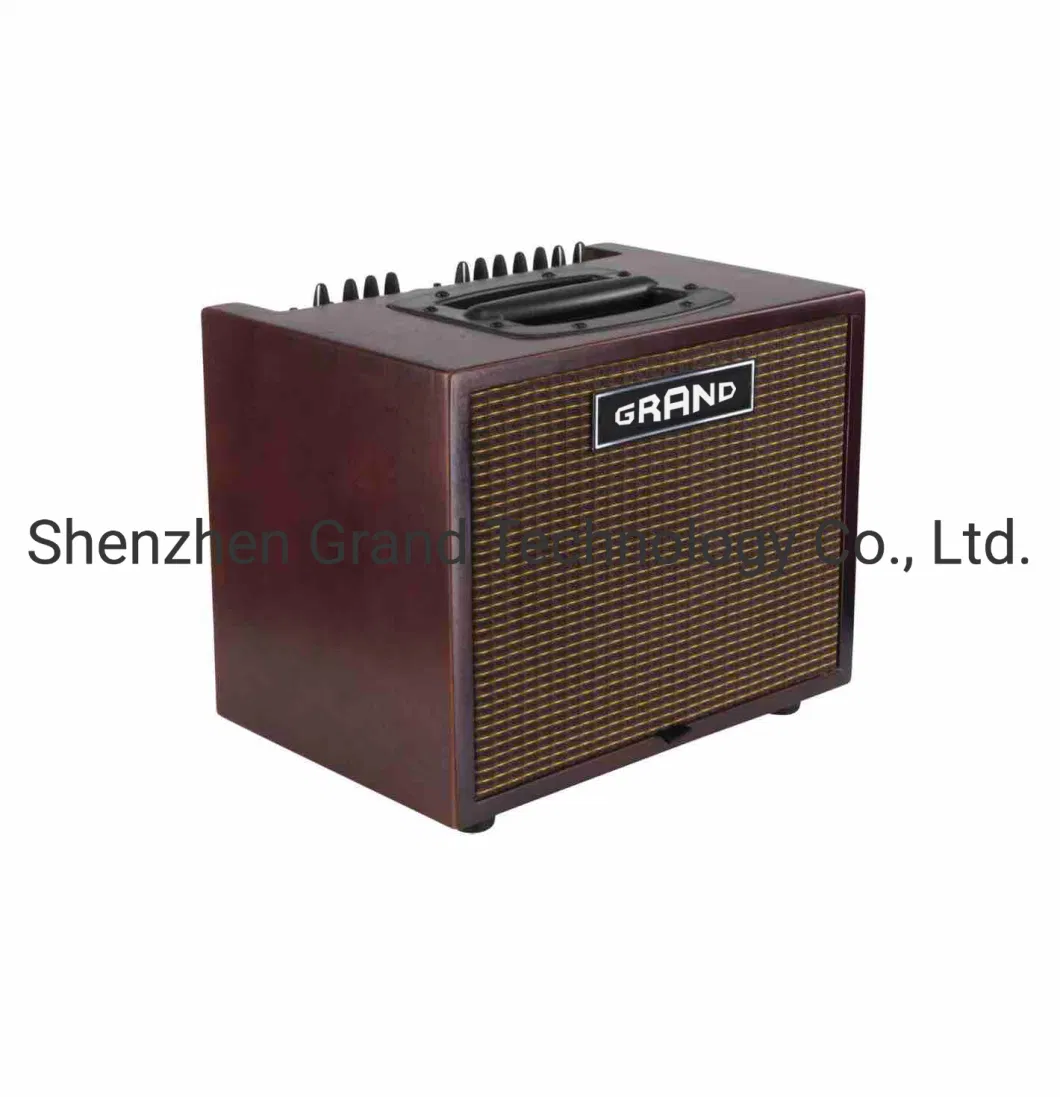 Chinese Made Grand Compact60 Type Acoustic Guitar Amplifier 60W