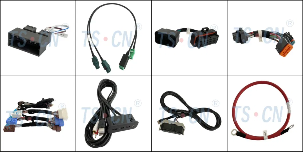 Tscn 02pin Electric Car Wire Harness Connector Wirng Kit Plug