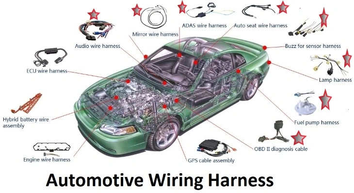 Custom Automotive Wiring Kit Assembly Manufactures Custom Car Audio DSP Amplifier Wiring Harness for BMW