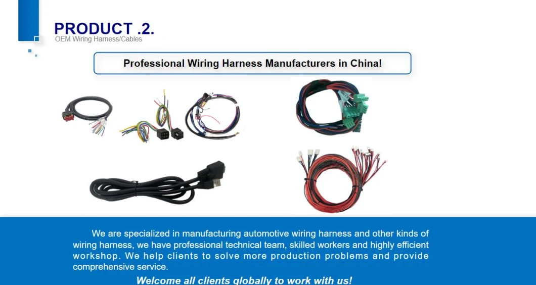Factory Price OEM Wire Harness for 18 Types CD Tail Wire Plug Wire Modification DSP Power Amplifier