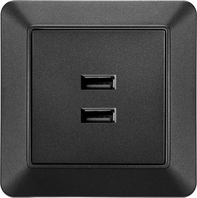 PC Double 2A Socket USB Switched Socket Livolo Socket