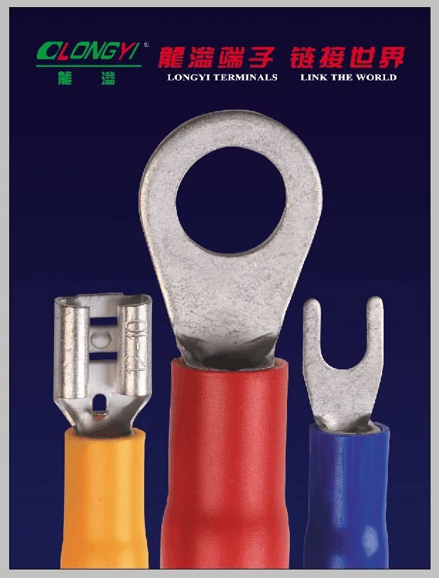 Special Cable Lugs-2 Screw Connector Terminal
