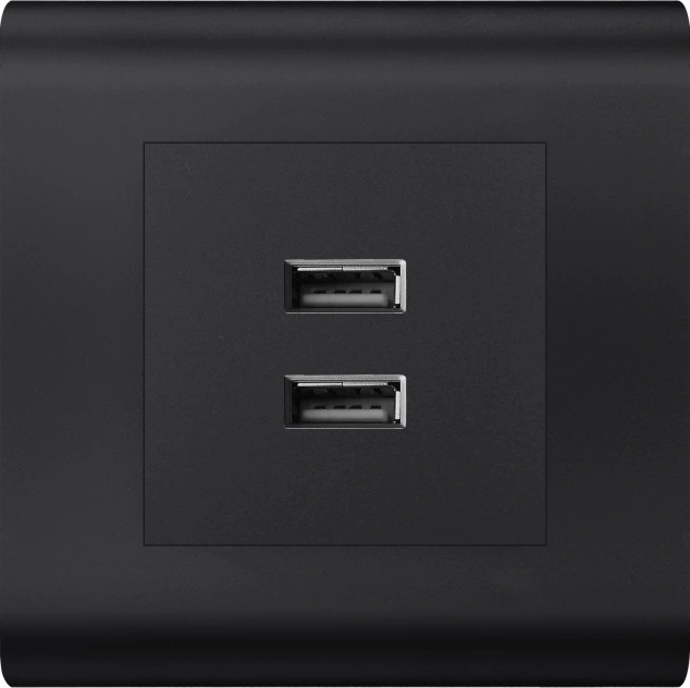 PC Double 2A Socket USB Switched Socket Livolo Socket