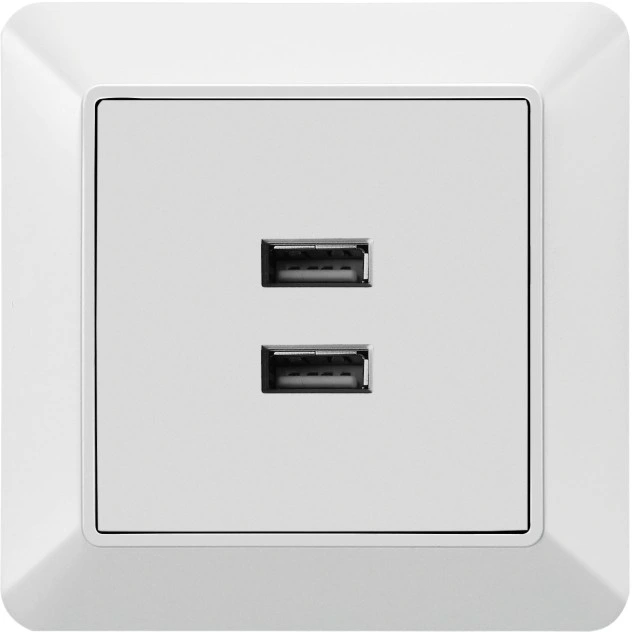 PC Double 2A Socket USB Switched Socket Livolo Socket