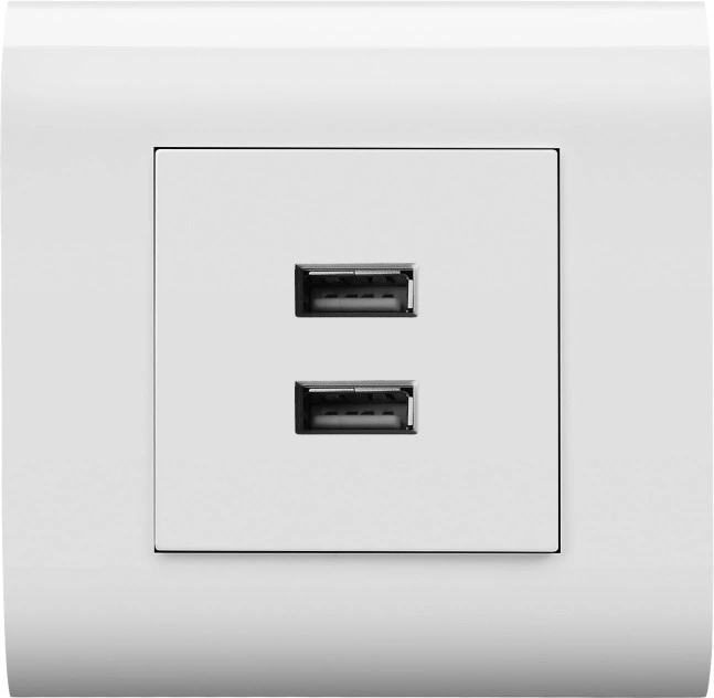 PC Double 2A Socket USB Switched Socket Livolo Socket