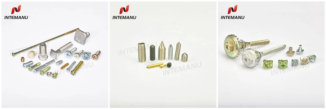 Self Tapping Screw (XMST screw-8) All Size Are Customizable Wire Connector