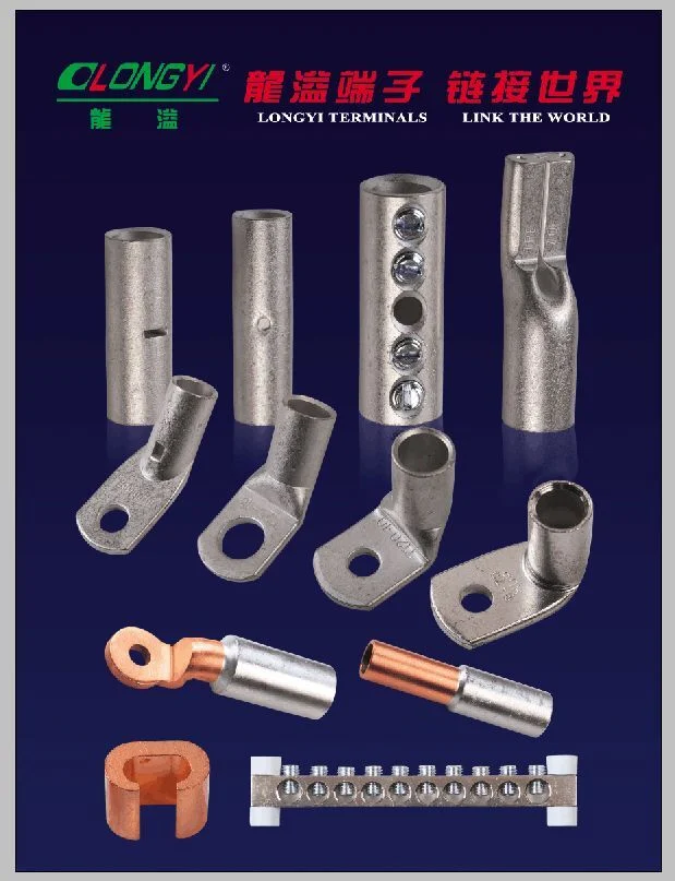 Special Cable Lugs-2 Screw Connector Terminal