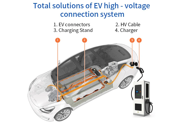 Automotive Connectors and Terminals Car Connectors Automotive Automotive Connector 8 Pin