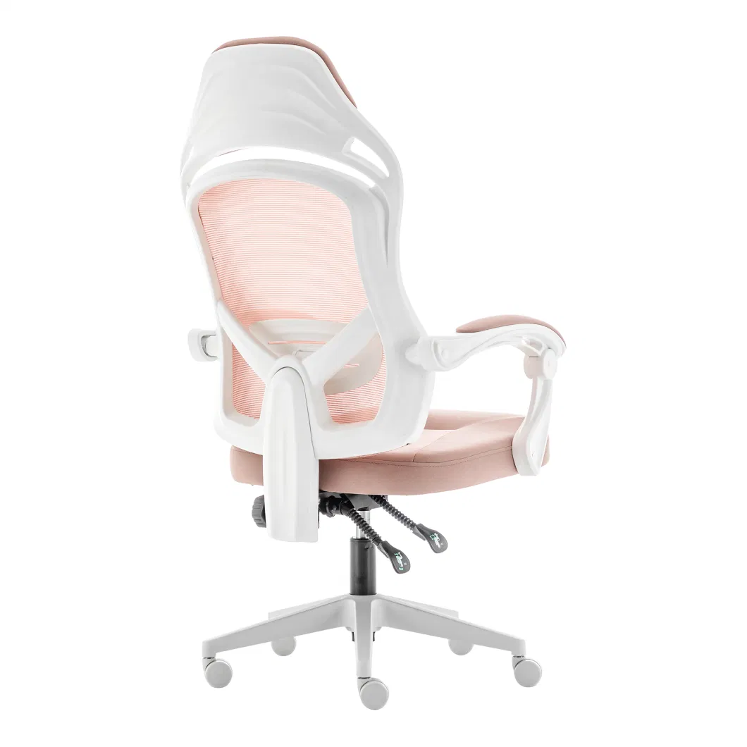 Factory Direct Supply Cheap Office Chairs Prices for Computer Chair