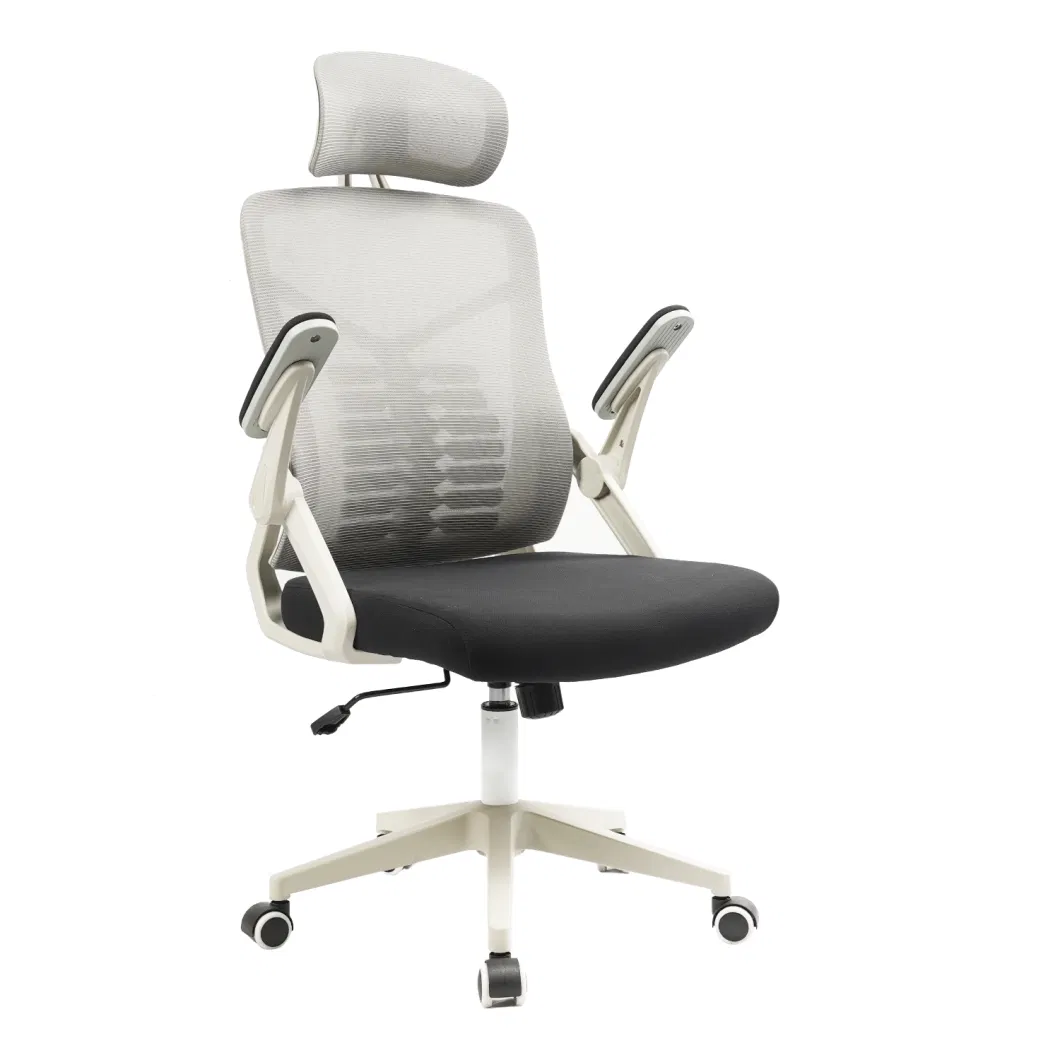Ergonomic Mesh Chair with Lumbar Support Adjustable Height Swivel Computer Task Chair