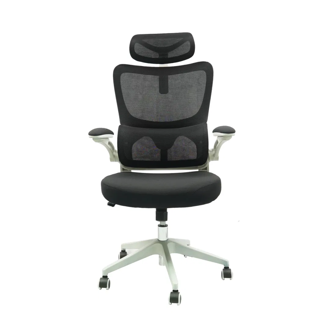 Ergonomic Office High Back Mesh Desk Chair with Separate Lumbar Support and Adjustable Headrest, Computer Gaming Chair, Executive Swivel Chair for Home Office