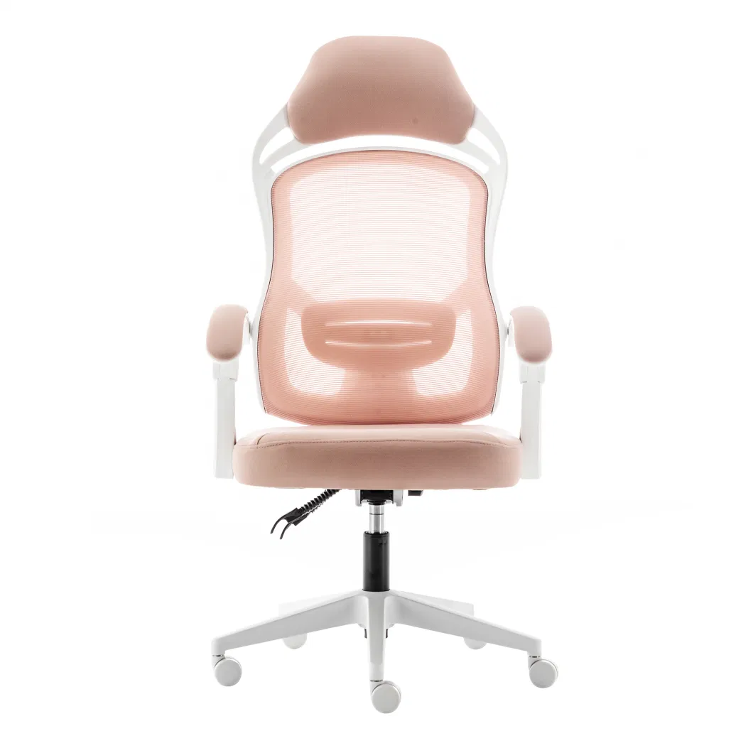 Factory Direct Supply Cheap Office Chairs Prices for Computer Chair