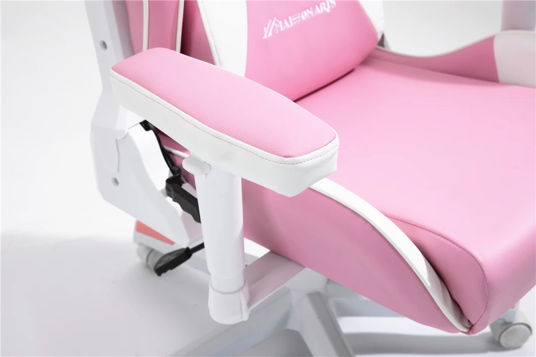 2021 New Design Girl Pink Gaming Chair with Cats Embroidery 2D Armrest Racing Chair Gaming Chair