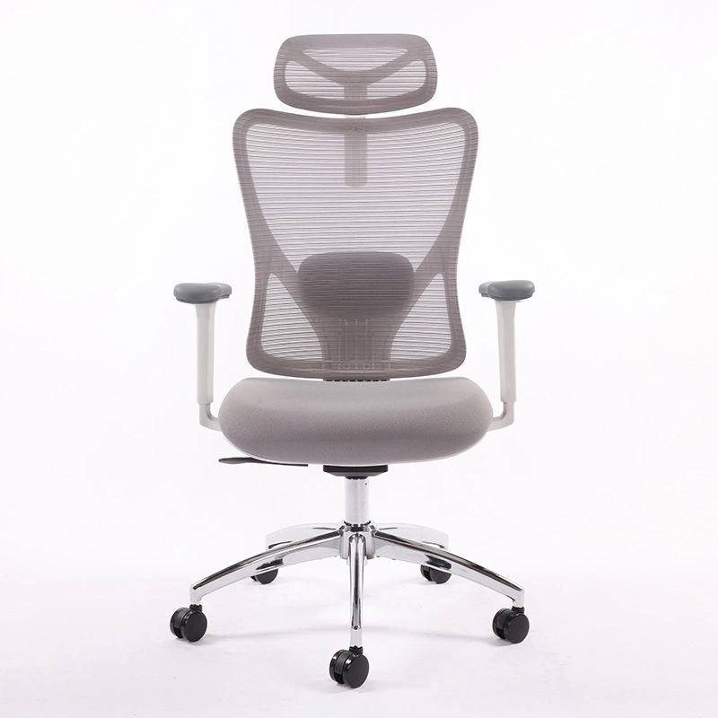 Ergonomic Office Chair - Adjustable Desk Chair with Lumbar Support and Rollerblade Wheels - High Back Chairs with Breathable Mesh