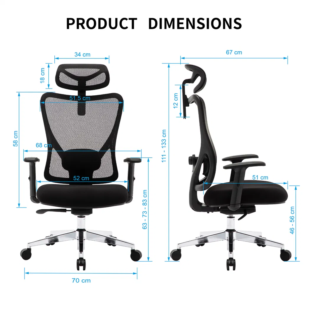 Ergonomic Office Chair - Adjustable Desk Chair with Lumbar Support and Rollerblade Wheels - High Back Chairs with Breathable Mesh