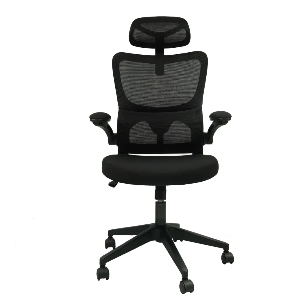 Ergonomic Office High Back Mesh Desk Chair with Separate Lumbar Support and Adjustable Headrest, Computer Gaming Chair, Executive Swivel Chair for Home Office