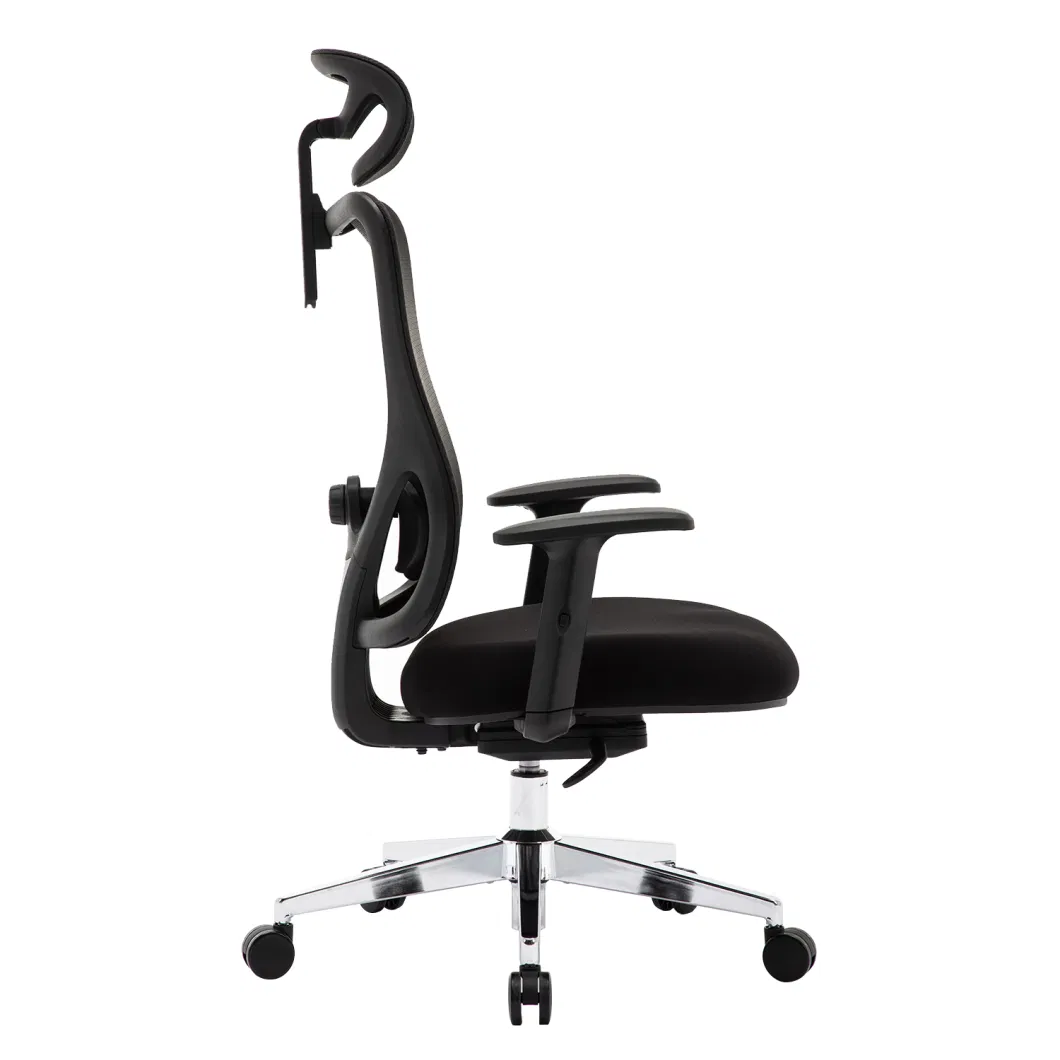 Ergonomic Office Chair - Adjustable Desk Chair with Lumbar Support and Rollerblade Wheels - High Back Chairs with Breathable Mesh