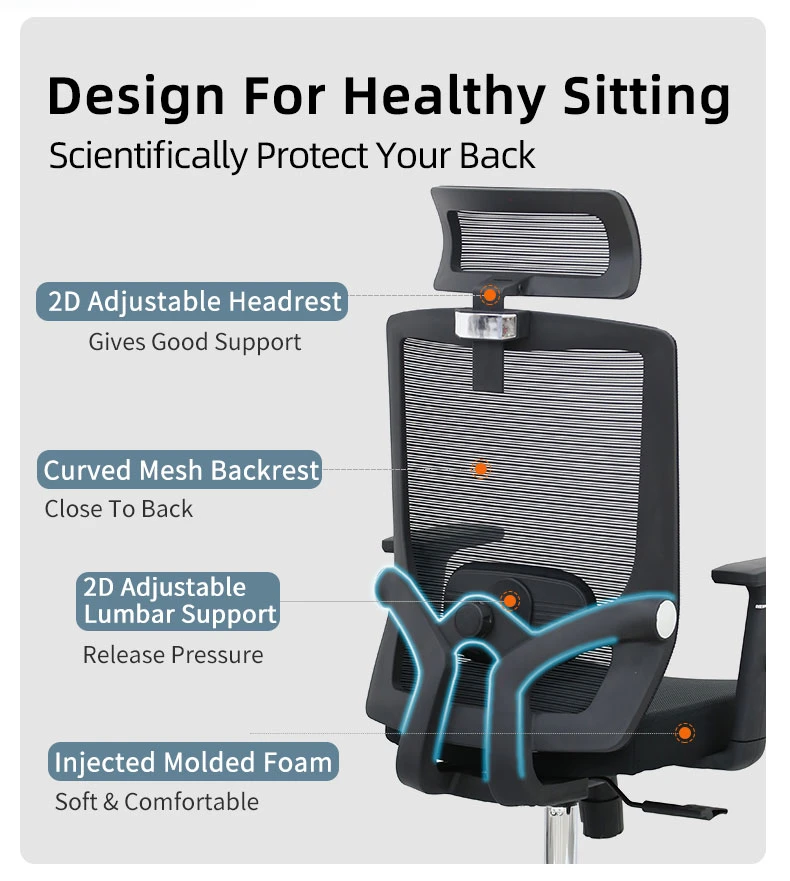 Famous High End Ergo-Human Design Office Chair with Base Support for Staff Work