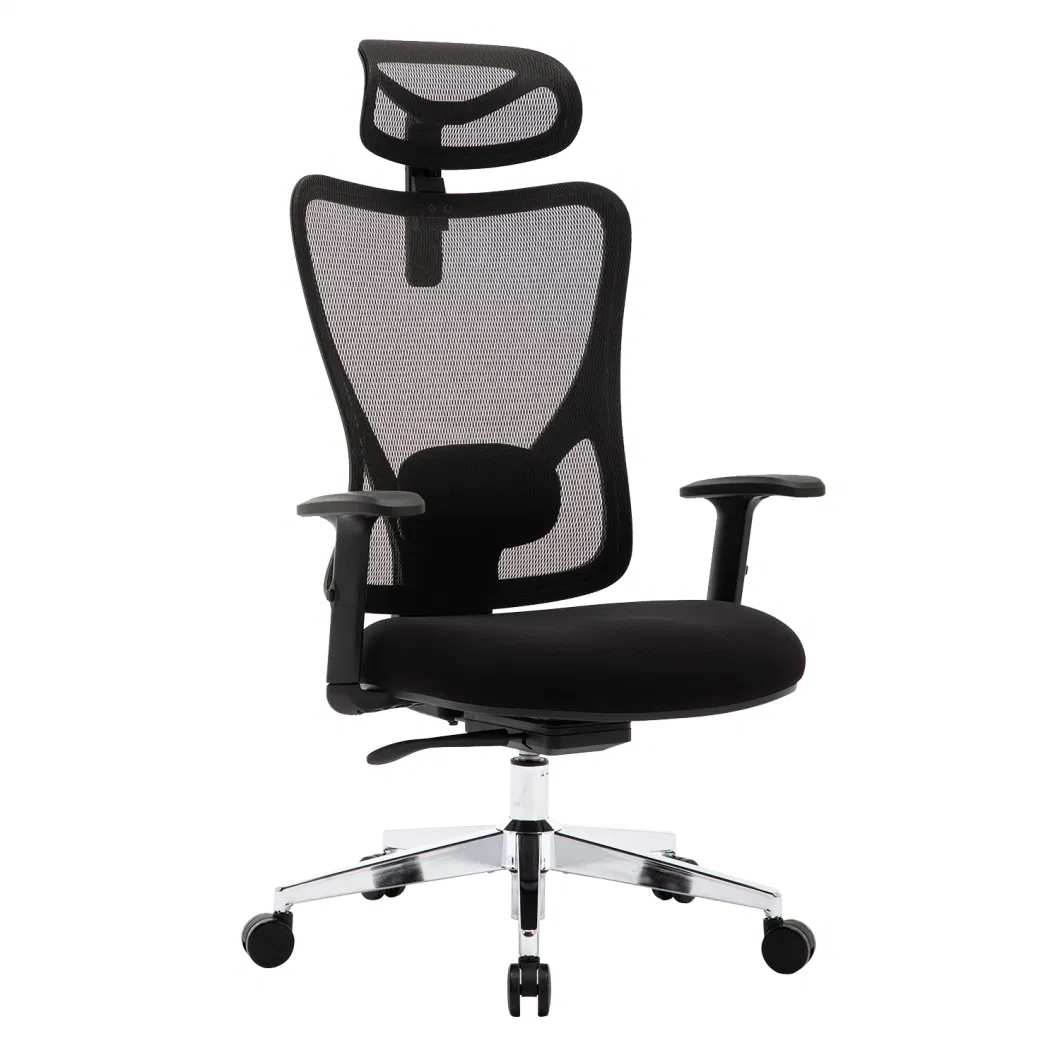 Ergonomic Office Chair - Adjustable Desk Chair with Lumbar Support and Rollerblade Wheels - High Back Chairs with Breathable Mesh