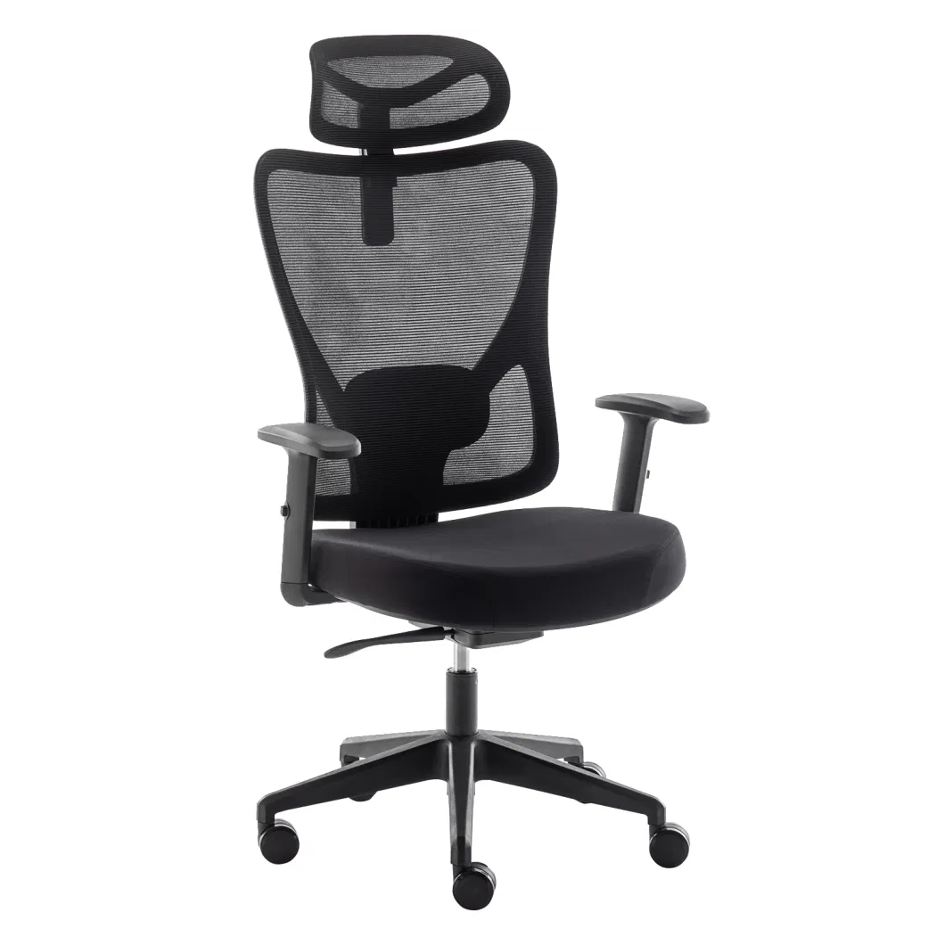 Ergonomic Office Chair - Adjustable Desk Chair with Lumbar Support and Rollerblade Wheels - High Back Chairs with Breathable Mesh