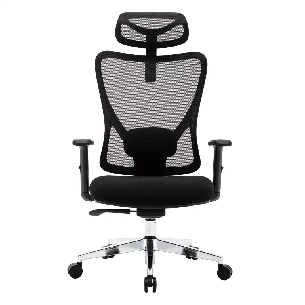 Ergonomic Office Chair - Adjustable Desk Chair with Lumbar Support and Rollerblade Wheels - High Back Chairs with Breathable Mesh