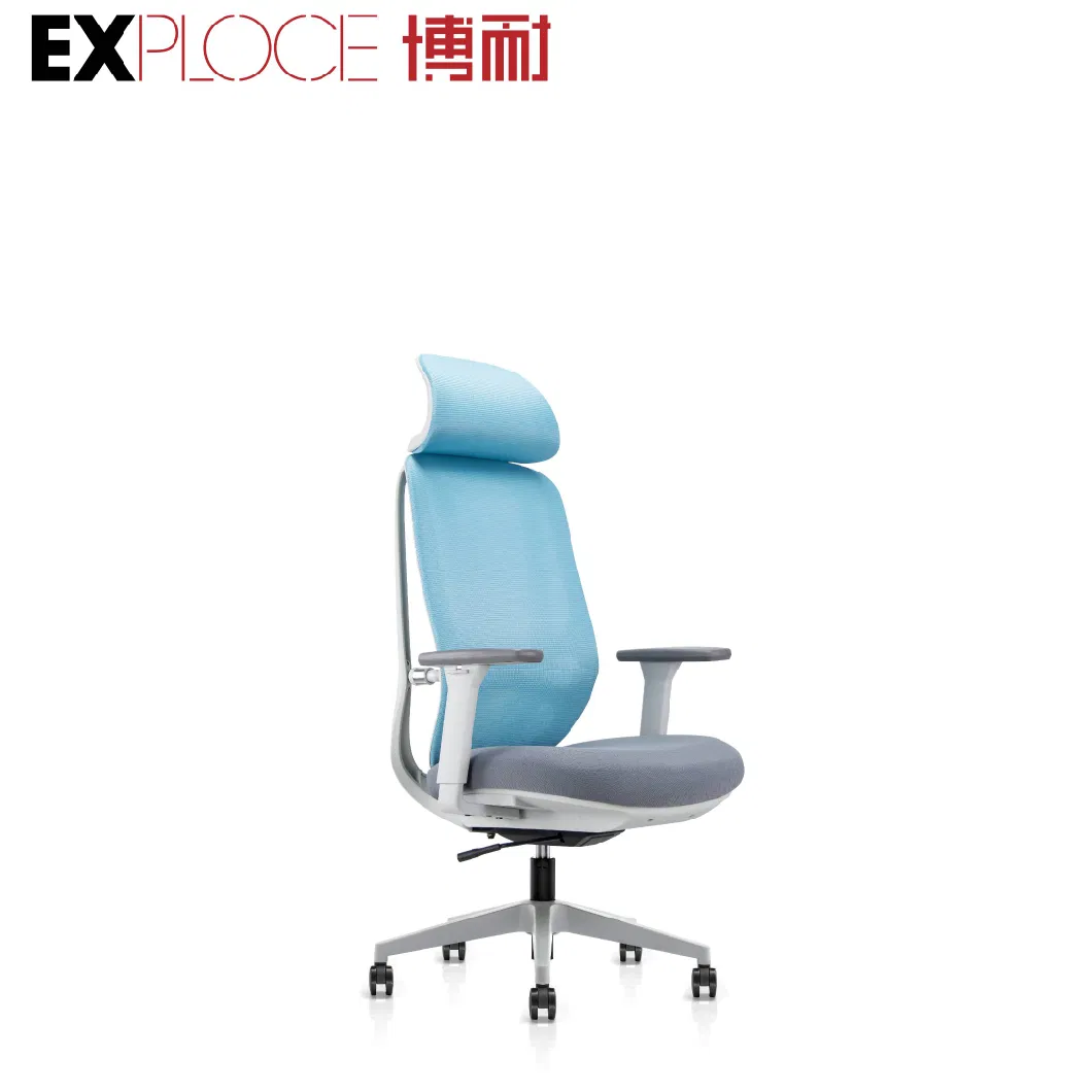 Lumbar Support Meeting Desk Comfortable Adjustable Gaming Home Seating Office Chair 3D