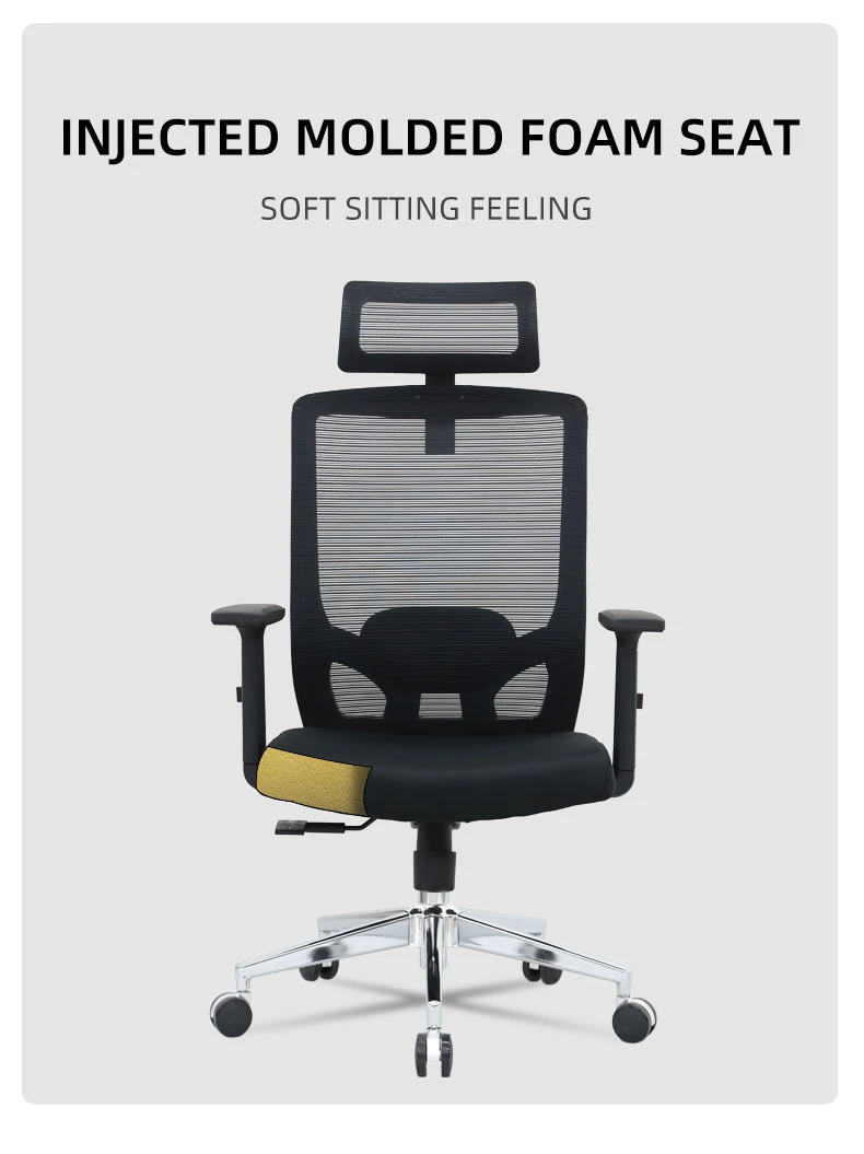 Famous High End Ergo-Human Design Office Chair with Base Support for Staff Work