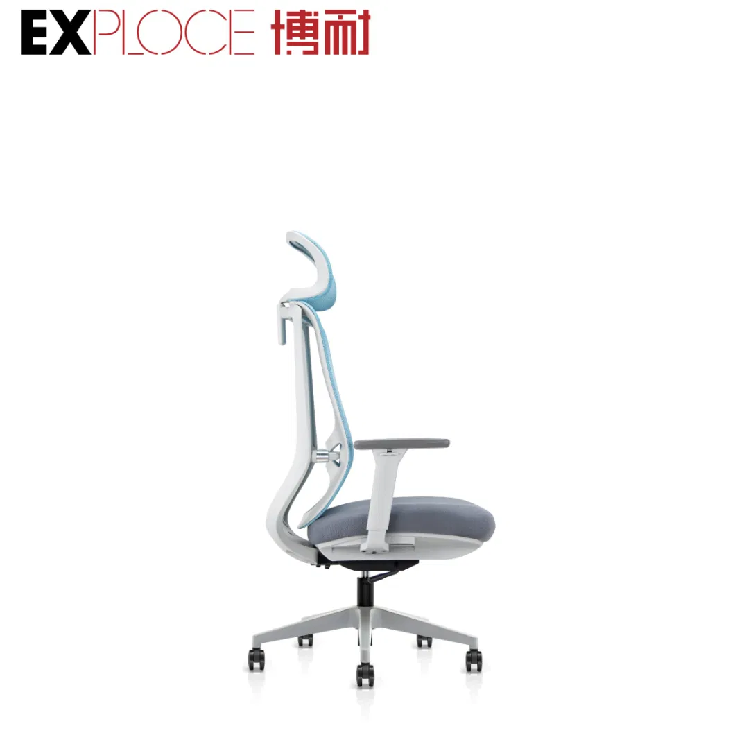 Lumbar Support Meeting Desk Comfortable Adjustable Gaming Home Seating Office Chair 3D