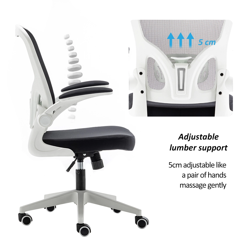 Modern Ergonomic Swivel Lumber Back Support Fabric Office Chair