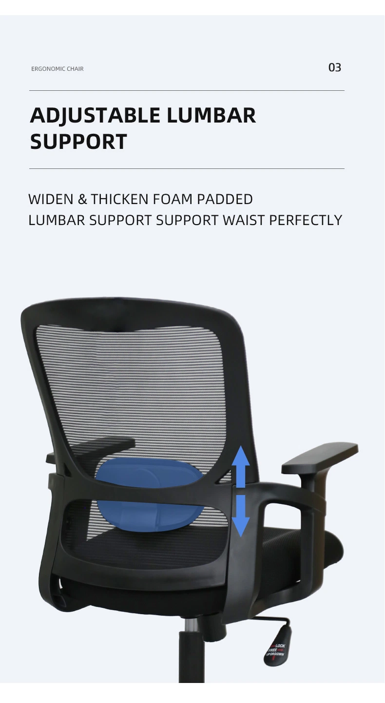 Multi-Function Ergonomic Nylon Plastic Office Chair High Back Adjustable Many Function