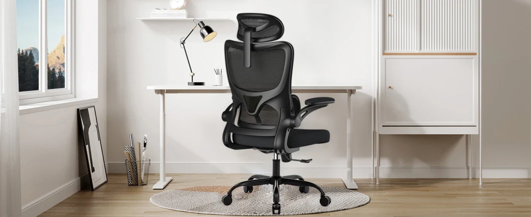 Ergonomic Office Chair High Back Mesh Desk Chair Backrest with Separate Lumbar Support