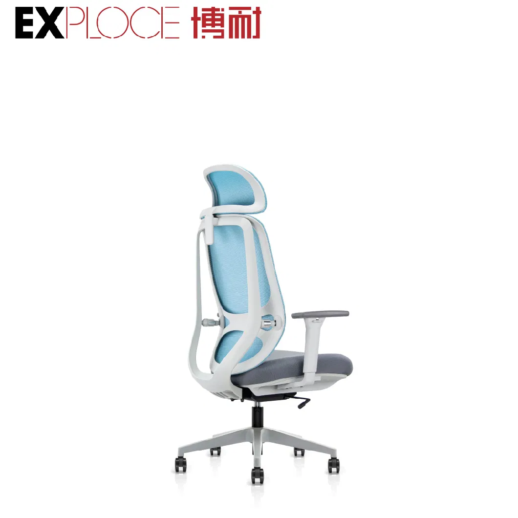 Lumbar Support Meeting Desk Comfortable Adjustable Gaming Home Seating Office Chair 3D