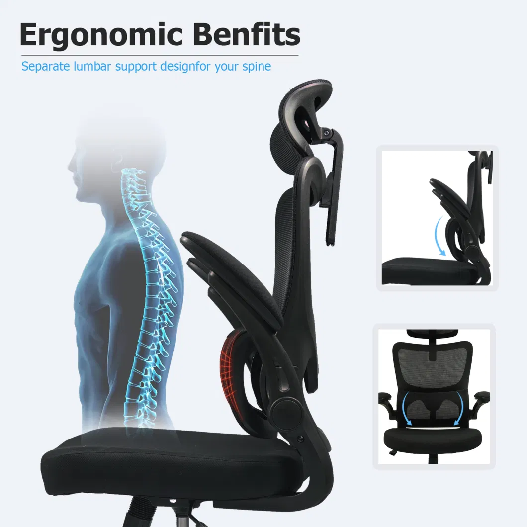 Ergonomic Office Chair High Back Mesh Desk Chair Backrest with Separate Lumbar Support