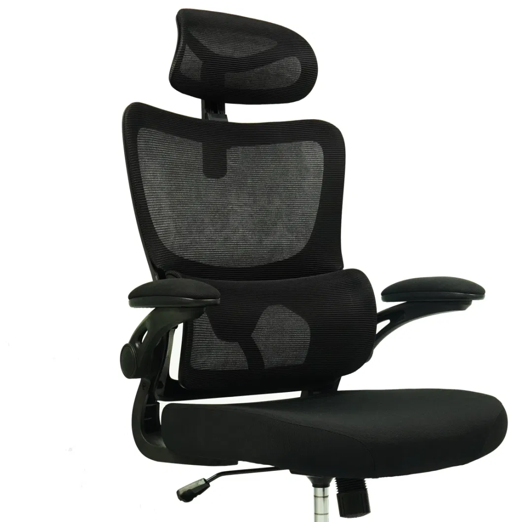Ergonomic Office Chair High Back Mesh Desk Chair Backrest with Separate Lumbar Support