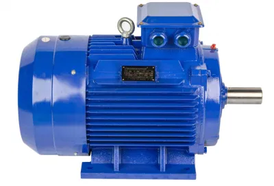  High Speed Electrical Motor Three-Phase Asynchronous Motor with Cast Iron Protection Type