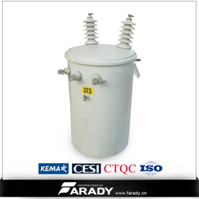  Single Phase 75kVA Pole Mounted Oil Immersed Power Transformer
