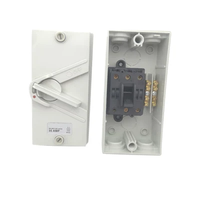  Isolating Switch Electrical Switch