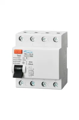  RCD TML1-100-B 100A 10kA Type B 4P Certification Manufacturer Whole sell
