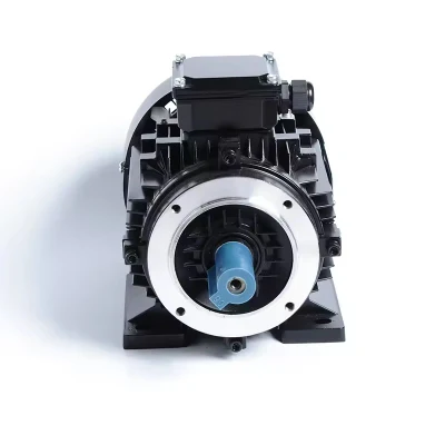  GOST 100% Copper Wound Three Phase Asynchronous Motor 220V AC Volta 50Hz Frequency Totally Enclosed Protection Iron Housing