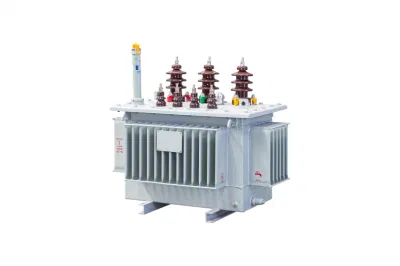 S11 30-2500kVA 10/0.4kv Three Phase Oil Immersed Type Power Distribution Transformer