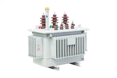S11 30-2500kVA 10/0.4kv Three Phase Oil Immersed Type Power Distribution Transformer